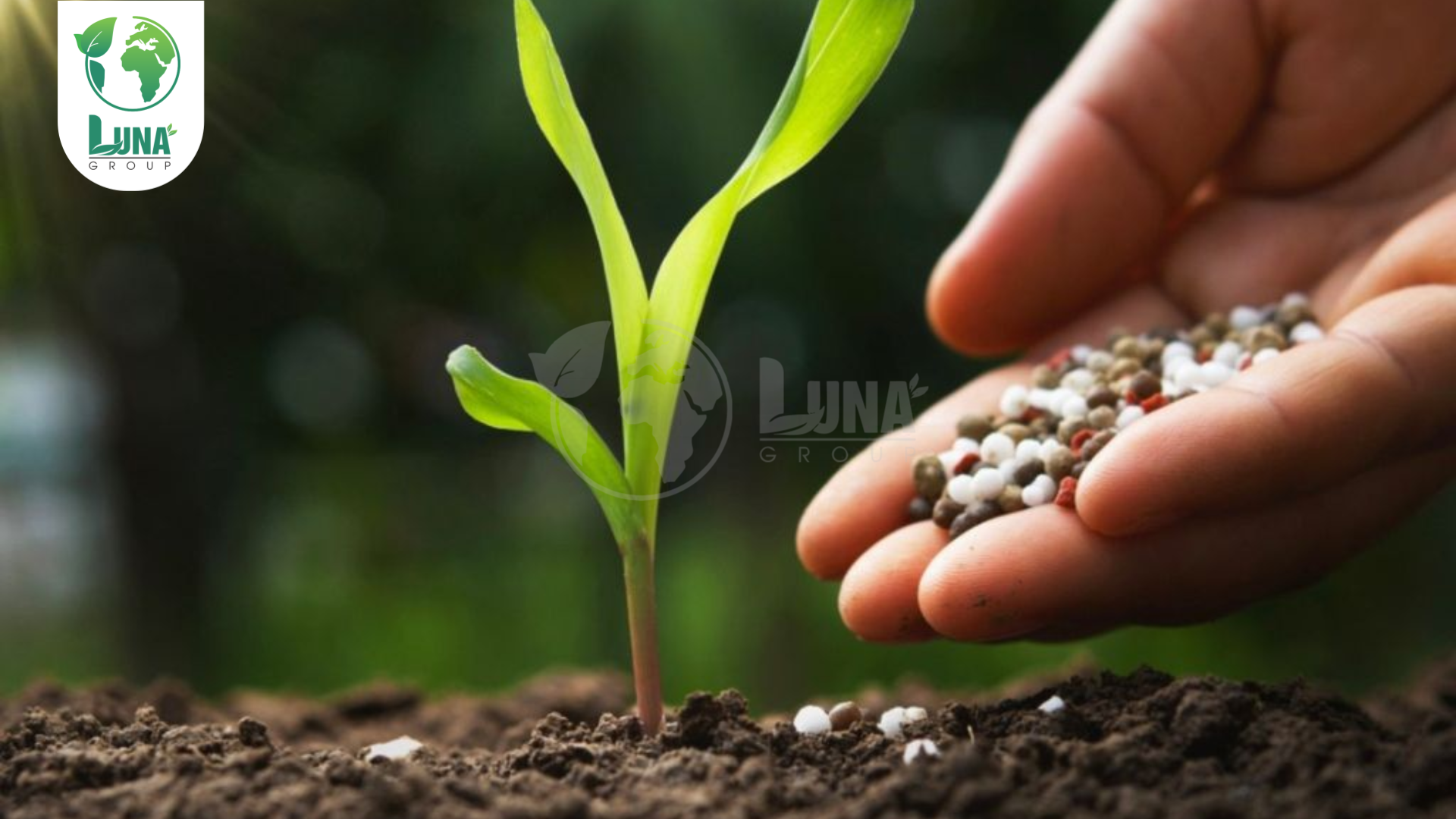 Các dạng phân bón có thể gia công