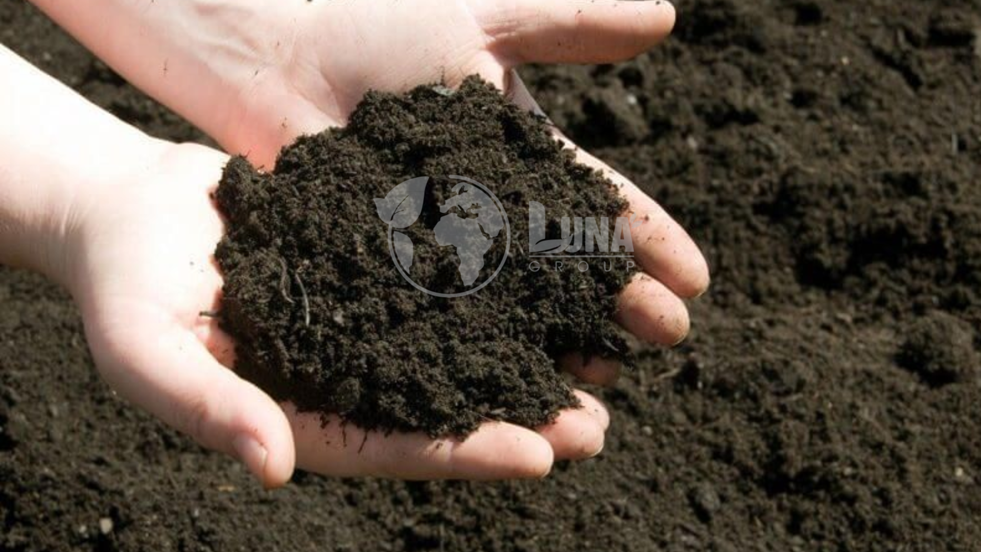Các dòng sản phẩm tại Luna Việt nam 