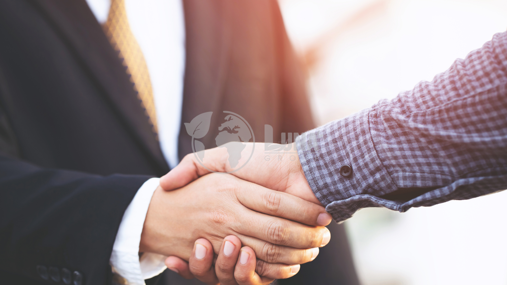 Cam kết của Luna Group