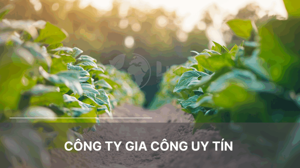 Công ty gia công uy tín