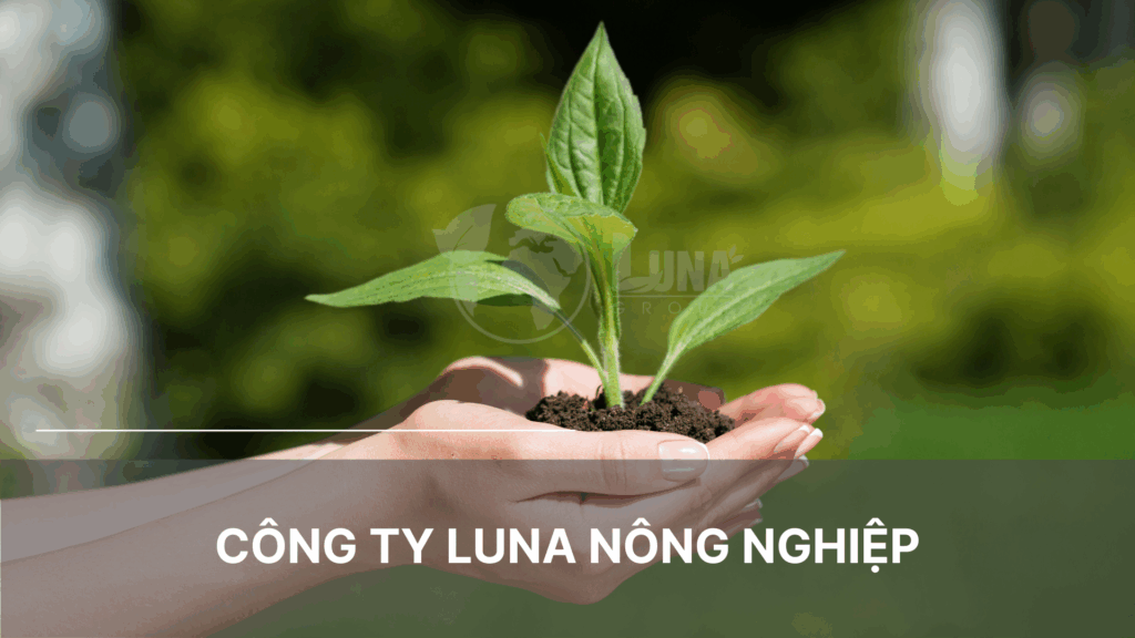 Công ty Luna nông nghiệp