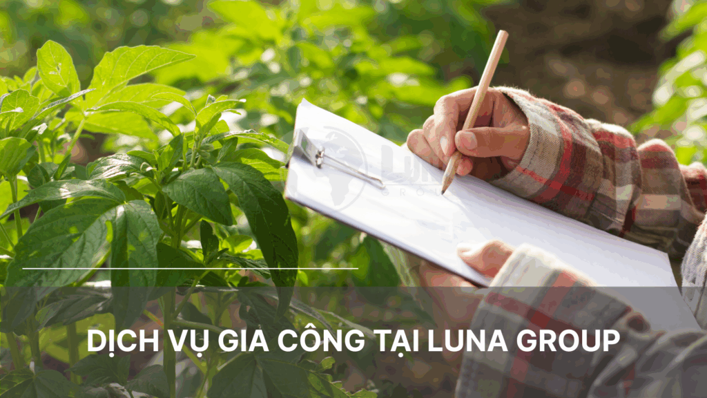Dịch vụ gia công tại Luna Group