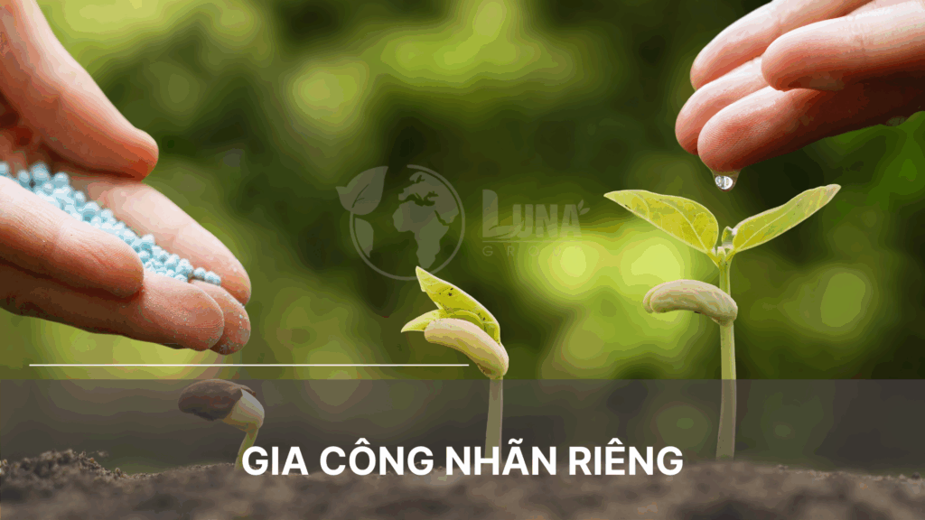 gia công nhãn riêng 