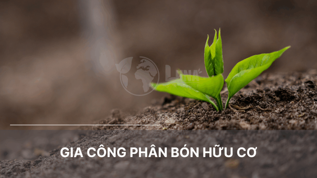 Gia công phân bón hữu cơ