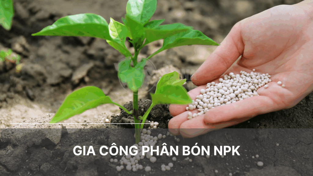 Gia công phân bón NPK
