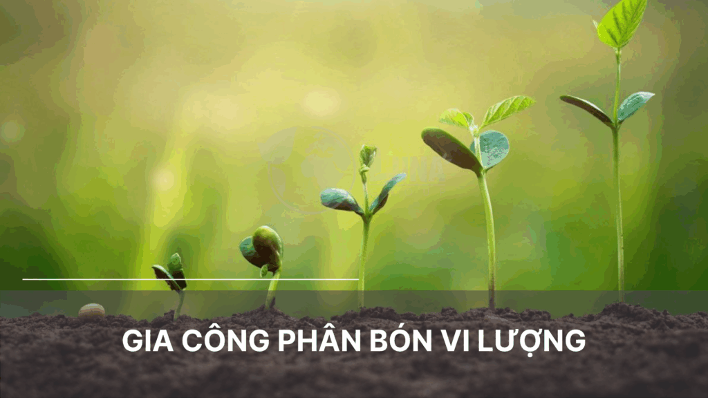 gia công phân bón vi lượng