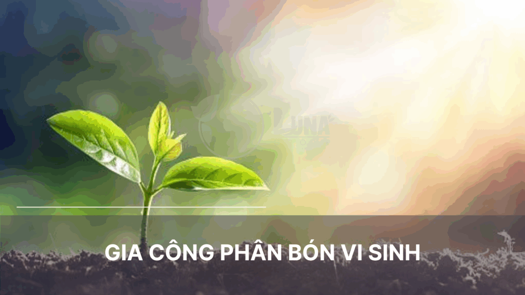 gia công phân bón vi sinh