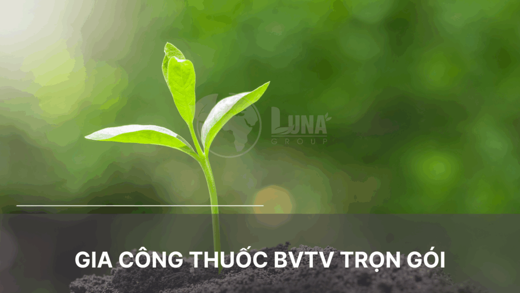 Gia công thuốc BVTV trọn gói