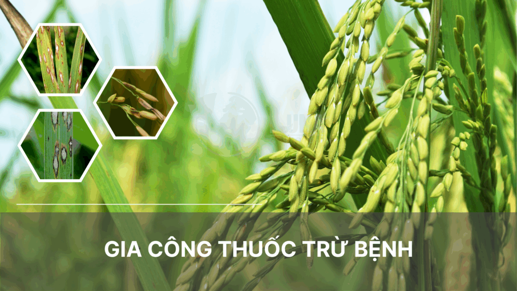 gia công thuốc trừ bệnh