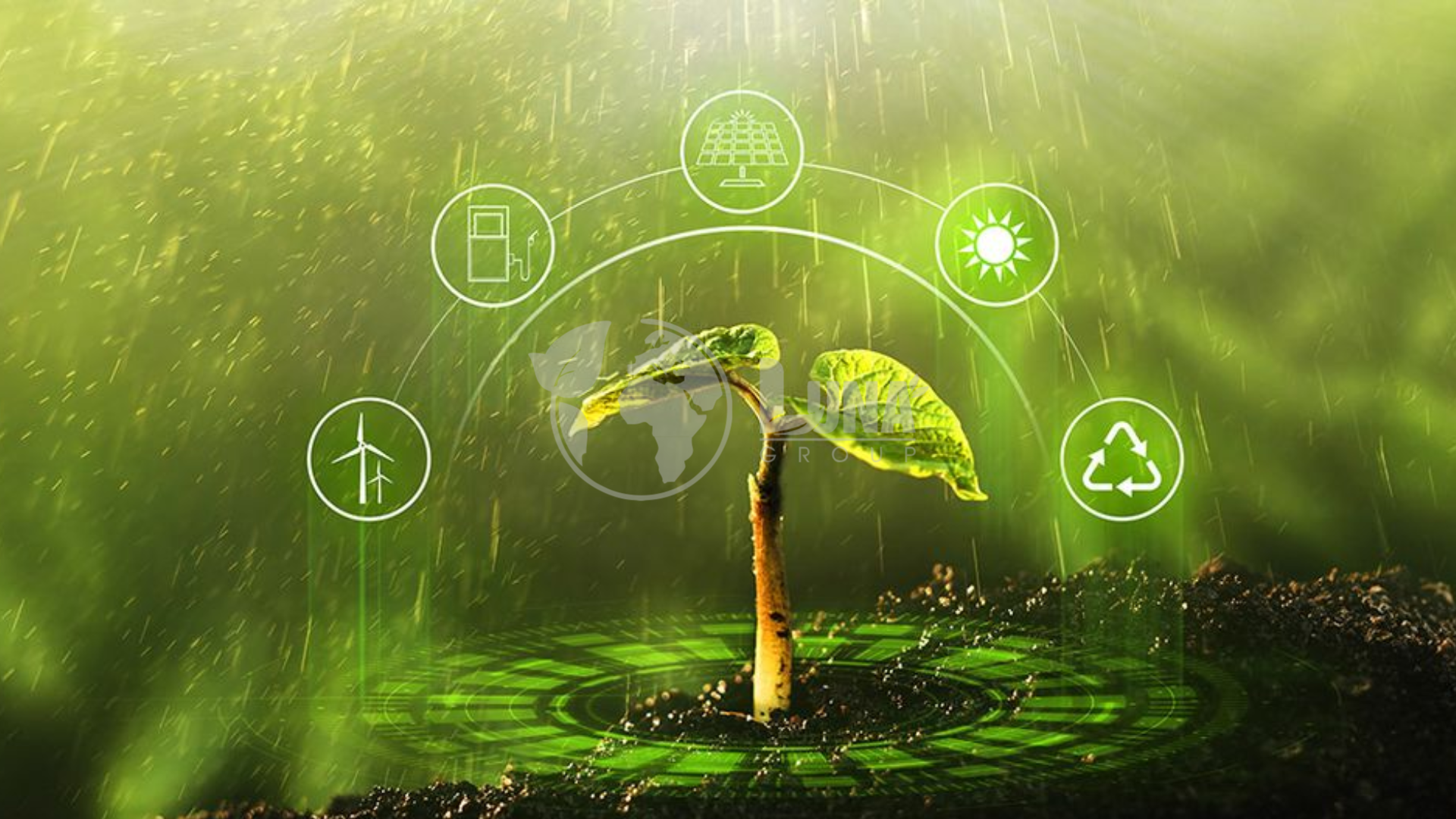 Hệ sinh thái Công ty Luna nông nghiệp 