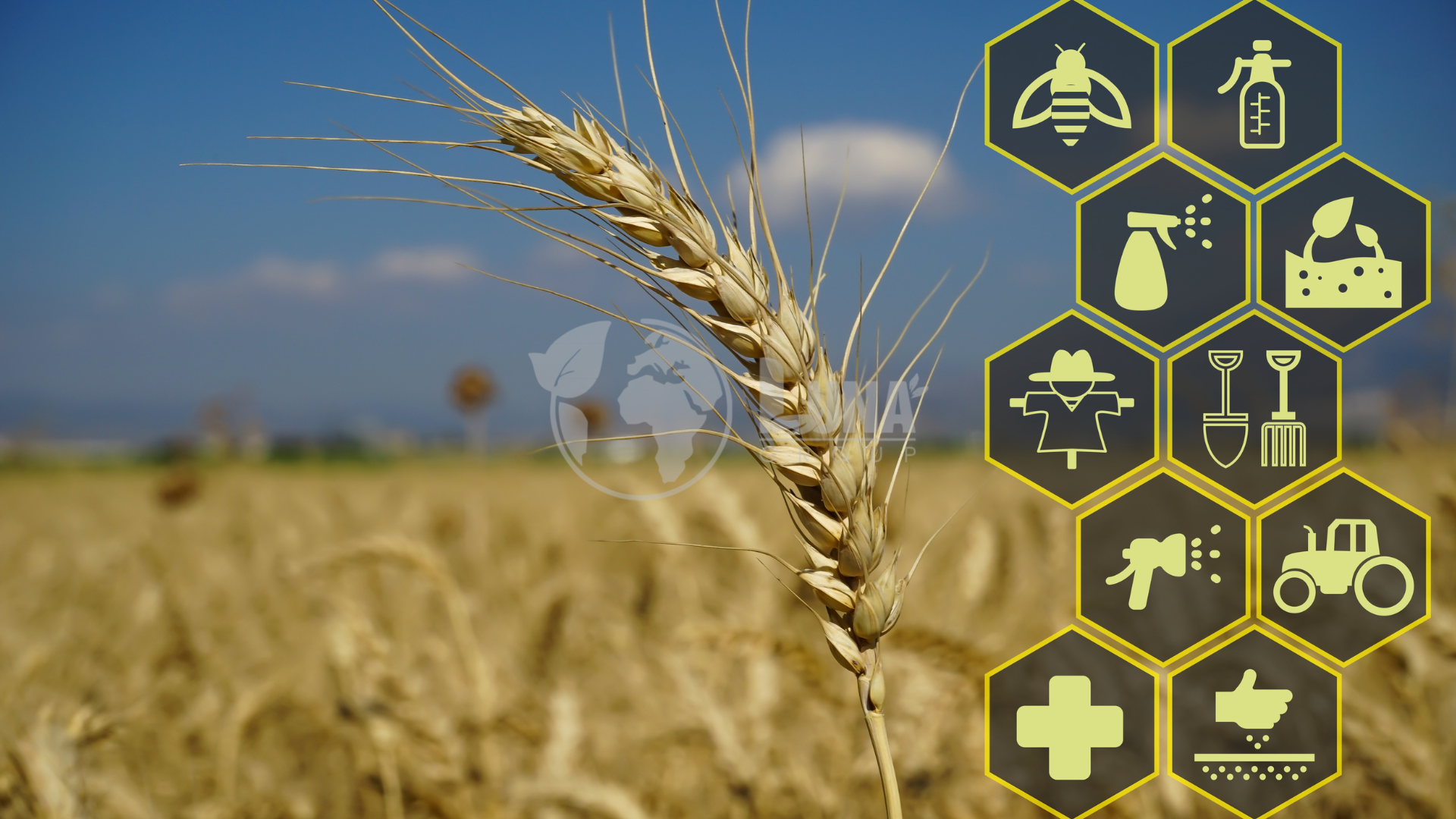 Khái niệm gia công thuốc bvtv 