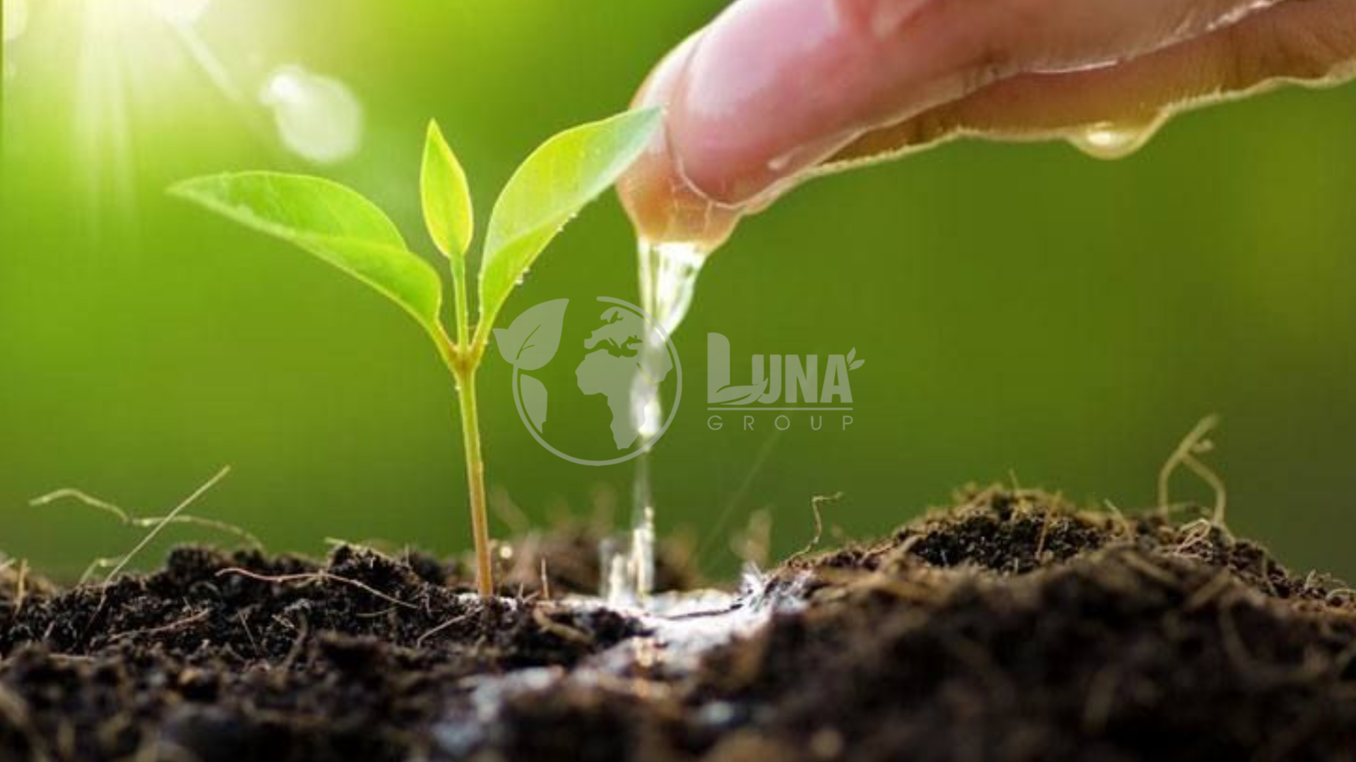 Lợi ích Gia công thuốc bvtv 