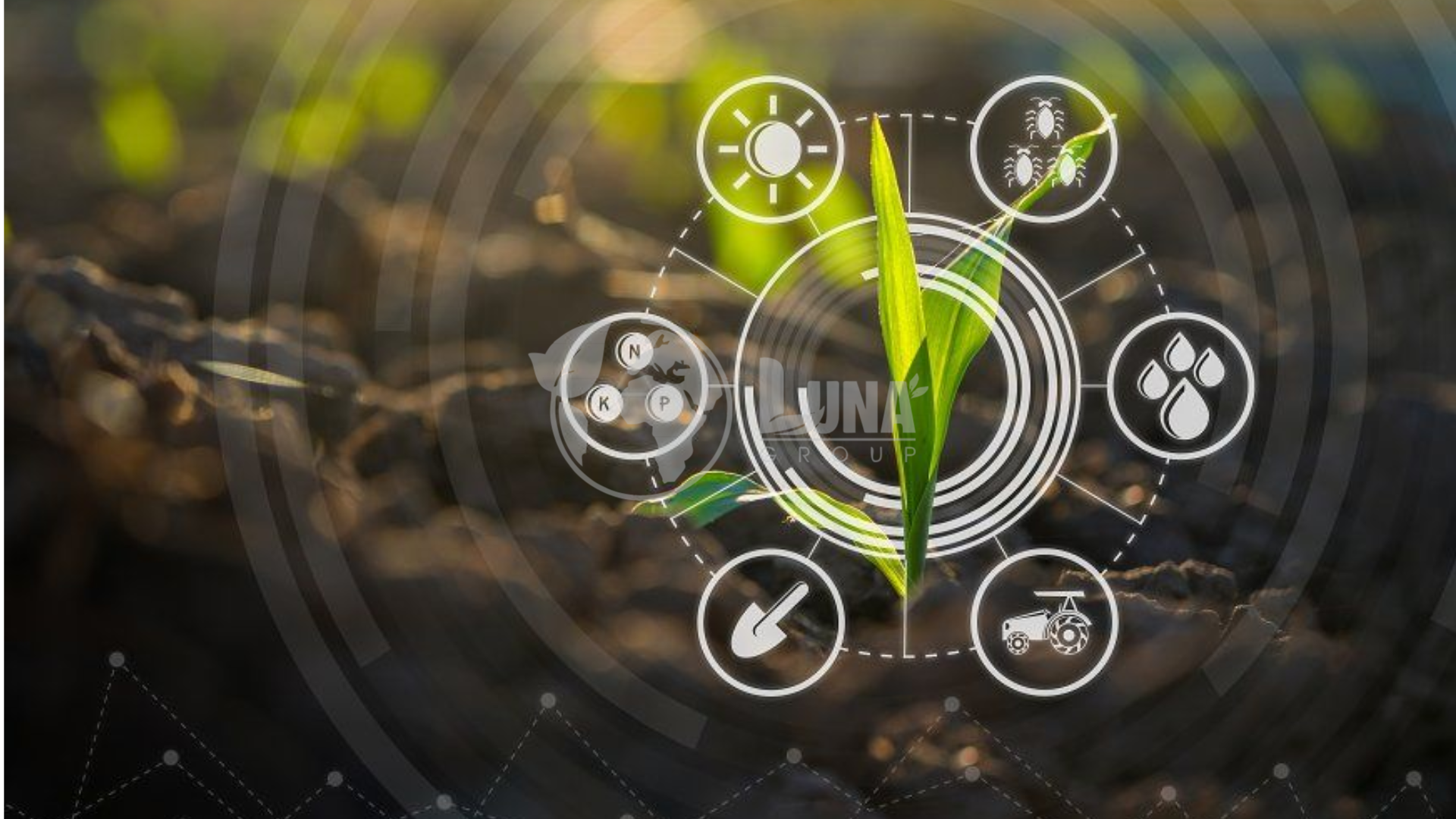 Lợi thế của Luna nông nghiệp 