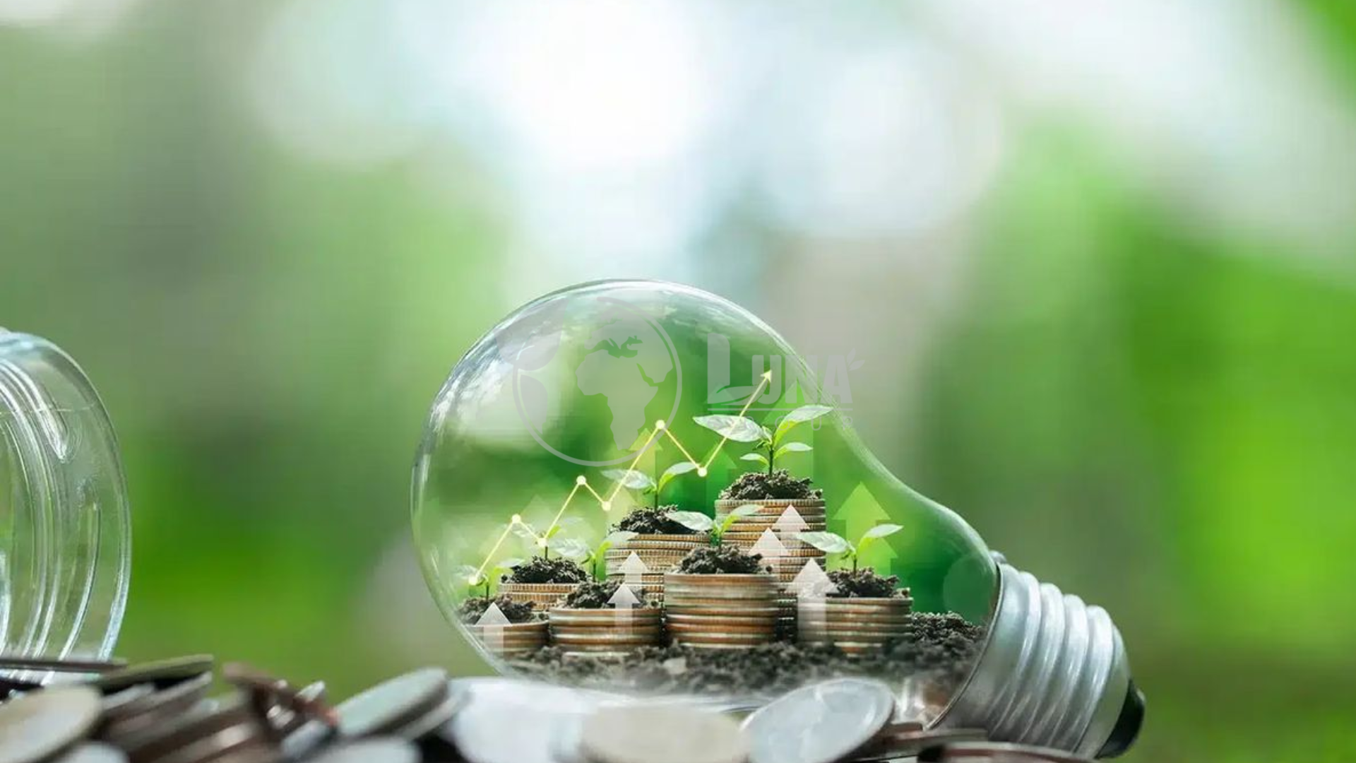 Lợi thế khi hợp tác với Luna Group 