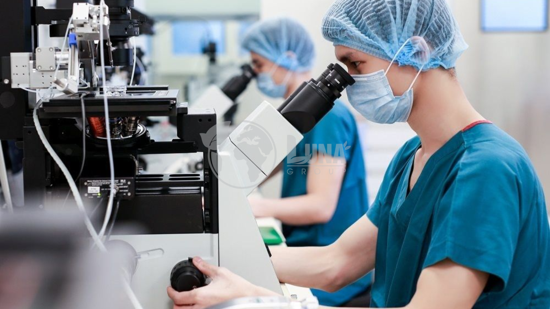 Quy trình gia công phân bón vi sinh tại Luna Group