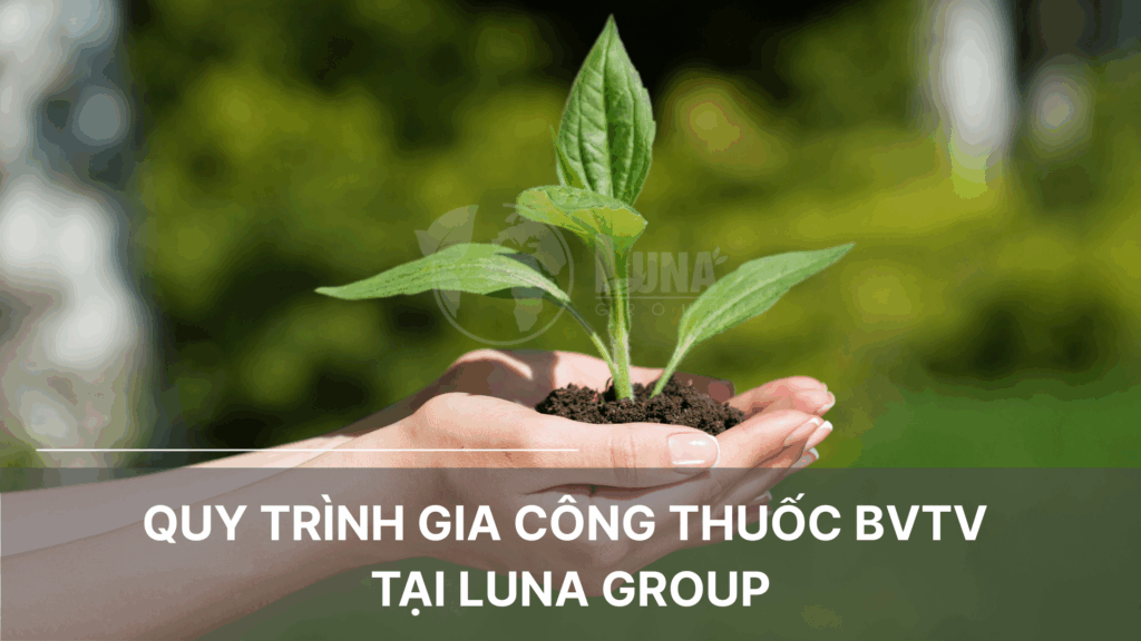 Quy trình gia công thuốc BVTV