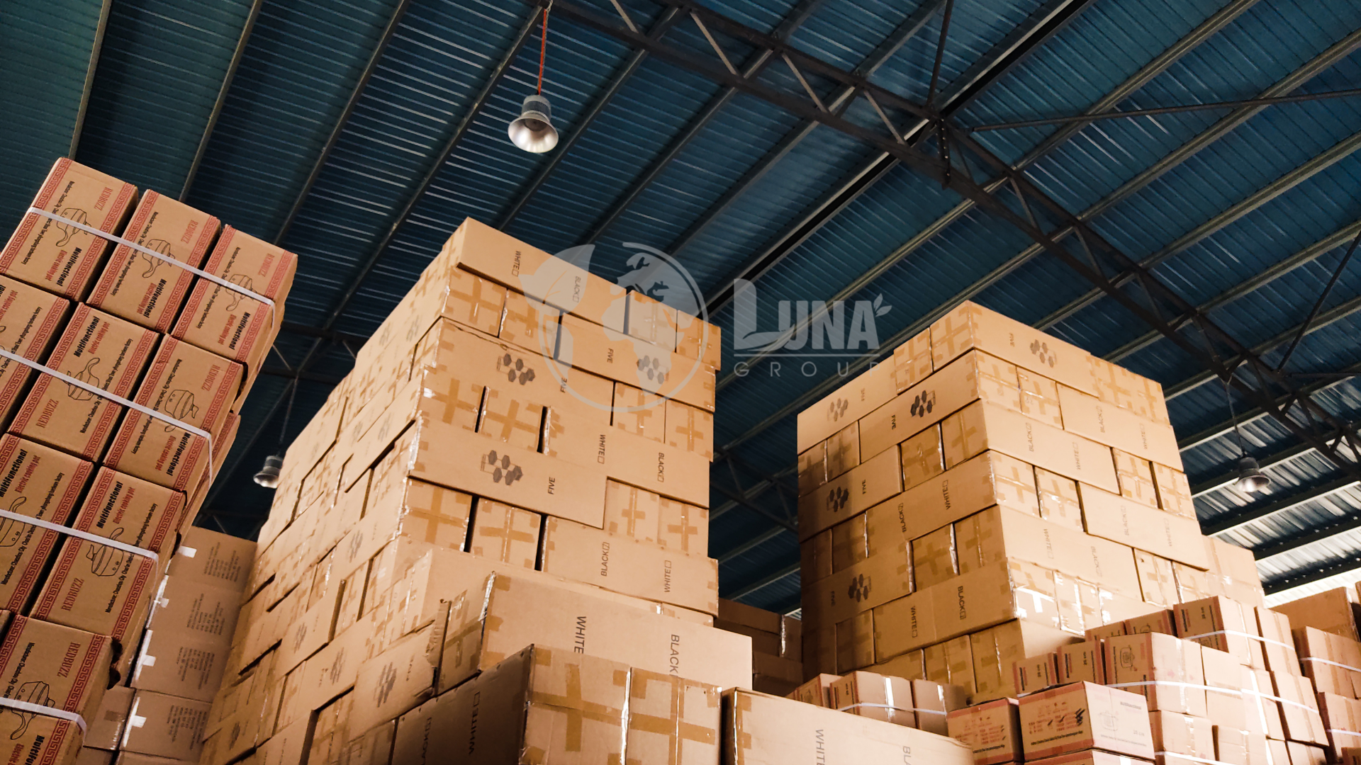 Sản phẩm và dịch vụ của Luna Group 