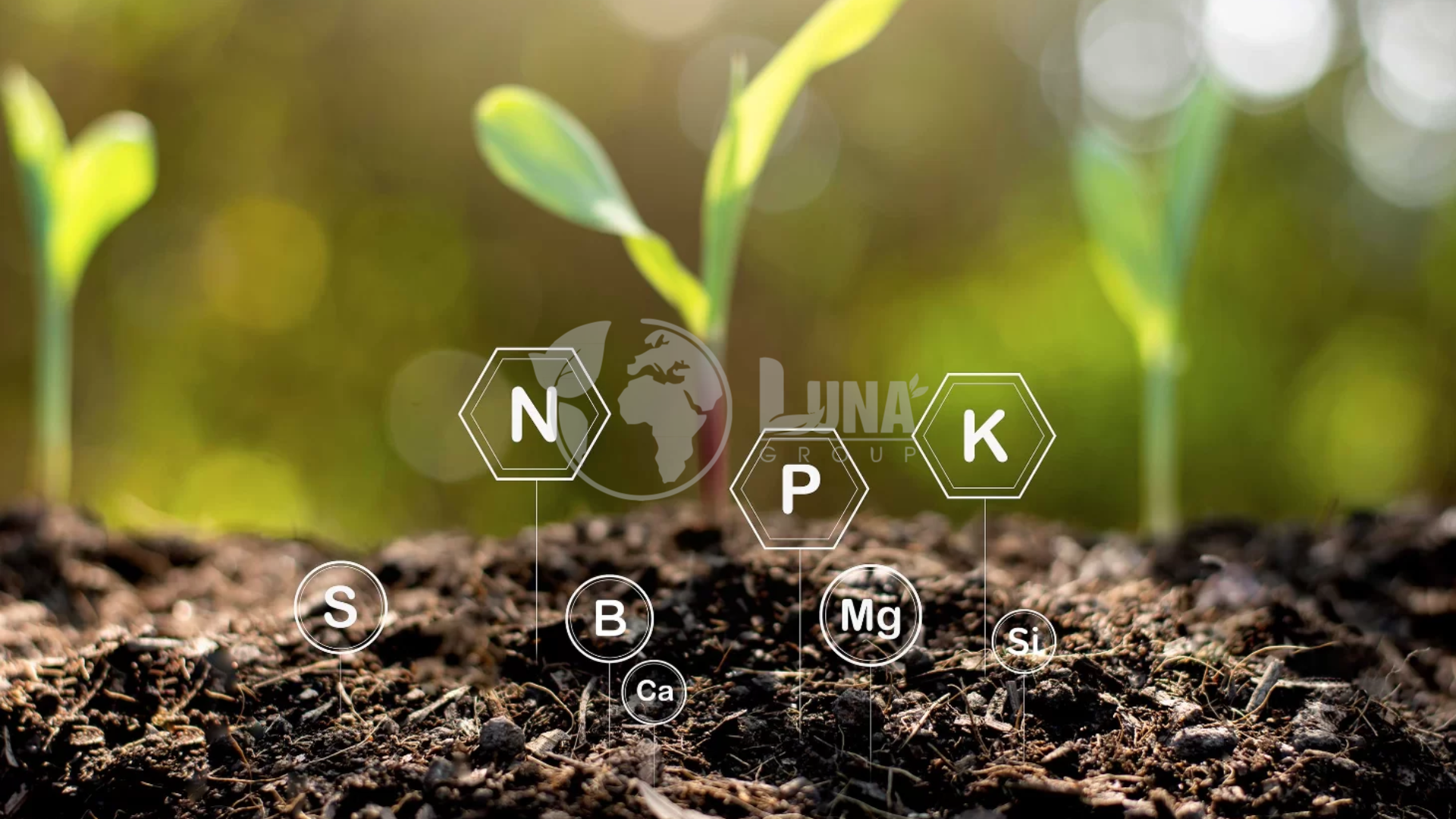 Ưu điểm khi gia công phân bón NPK tại Luna Group