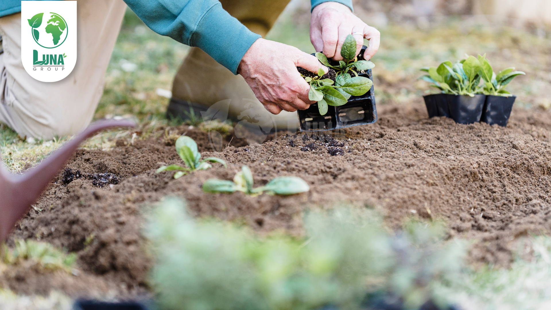 Lợi ích khi chọn hình thức OME phân bón