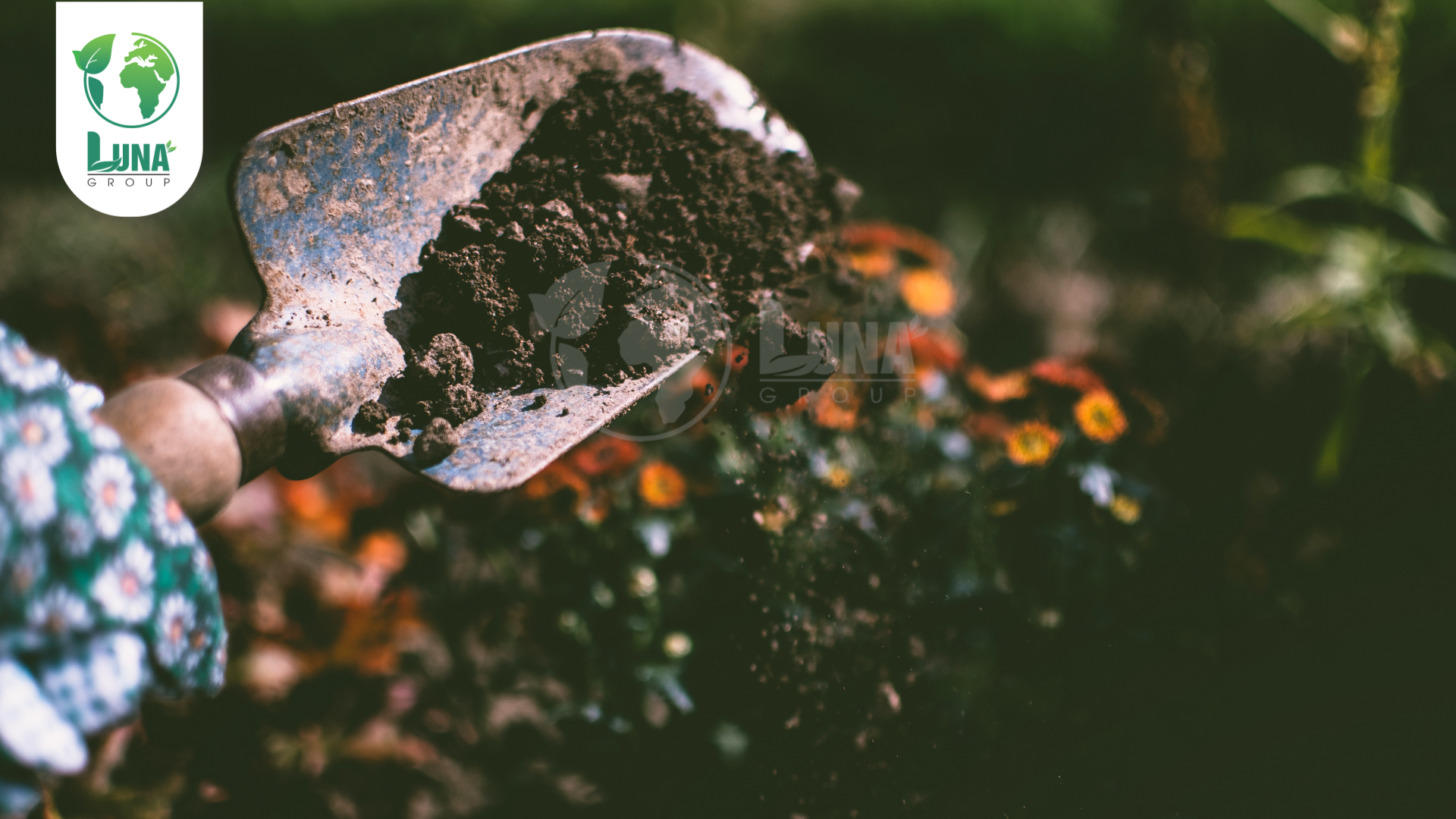 OME phân bón là gì?