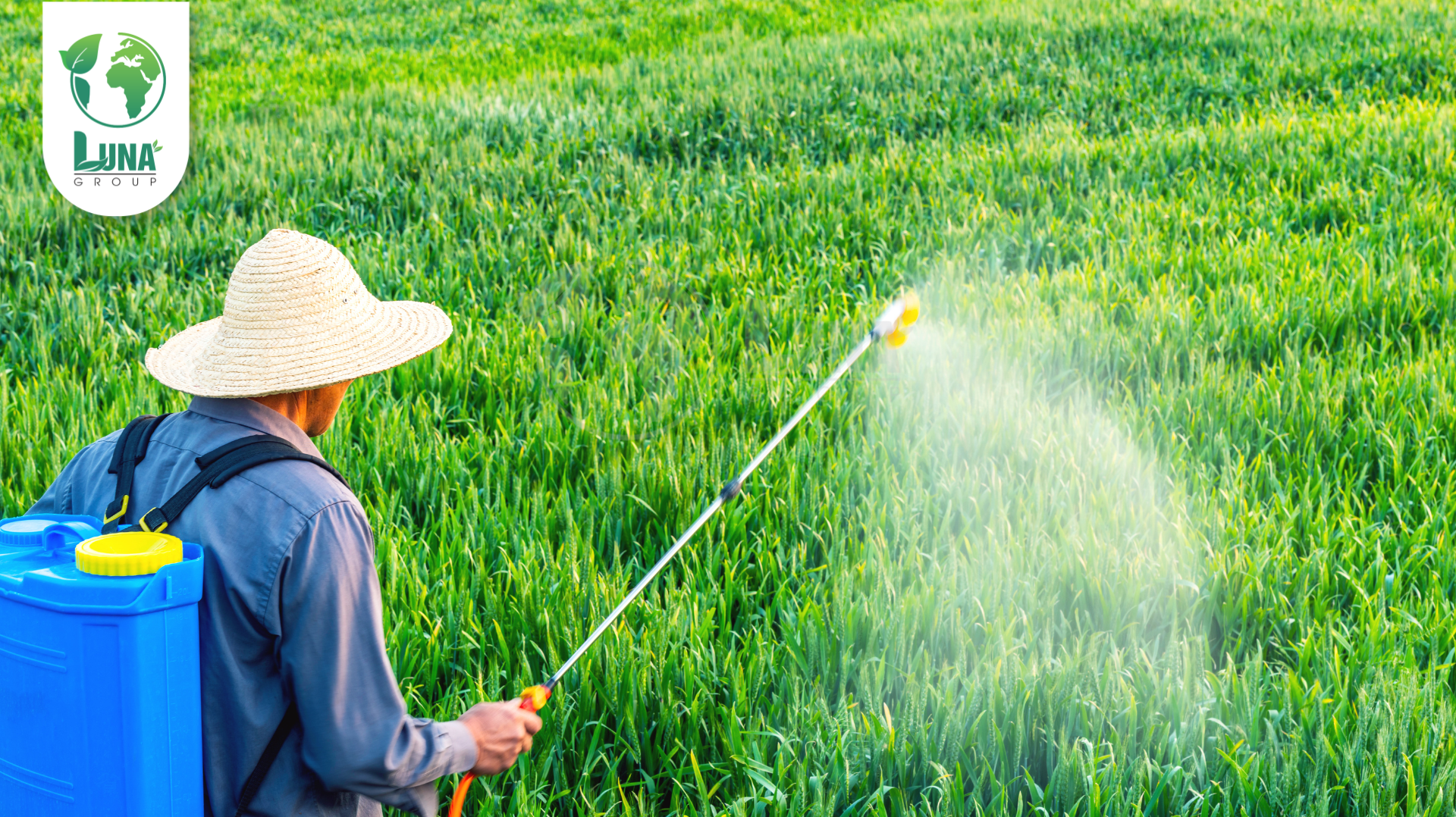 Lưu ý khi sử dụng