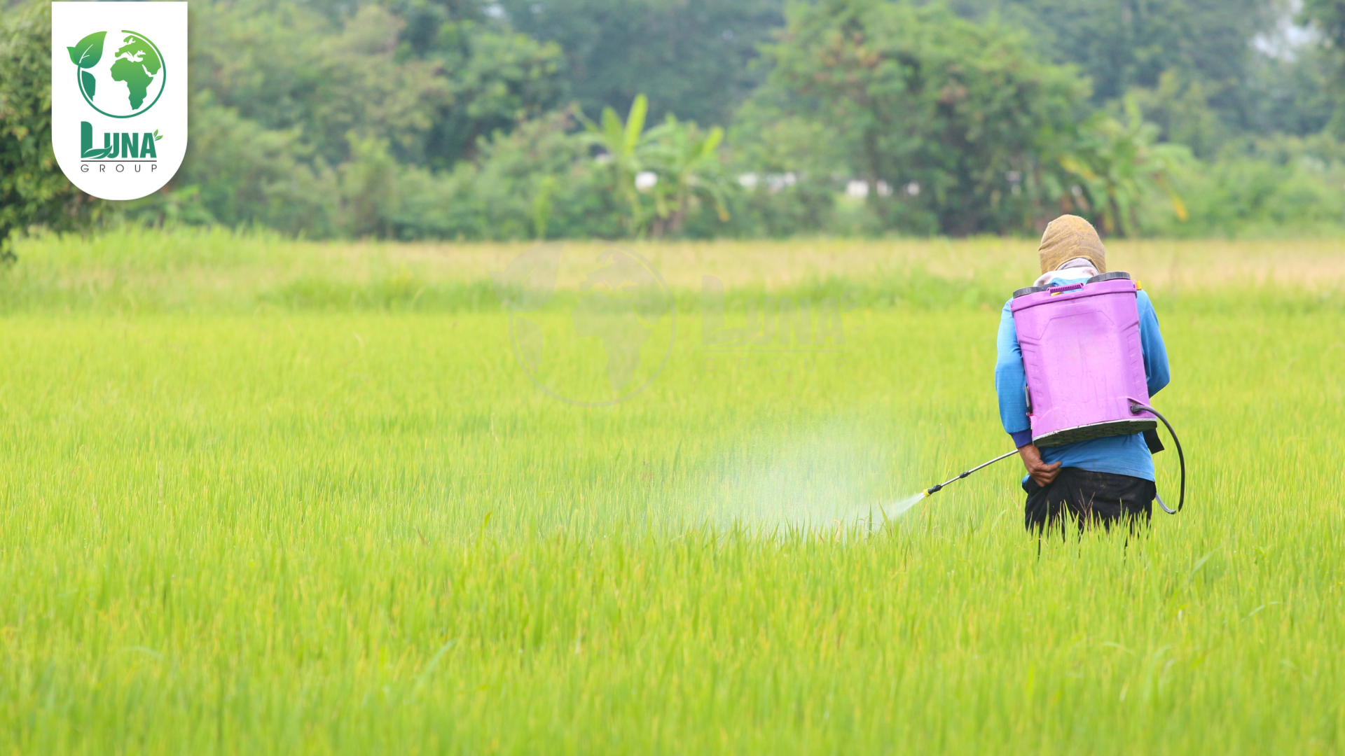 Lưu ý khi sử dụng