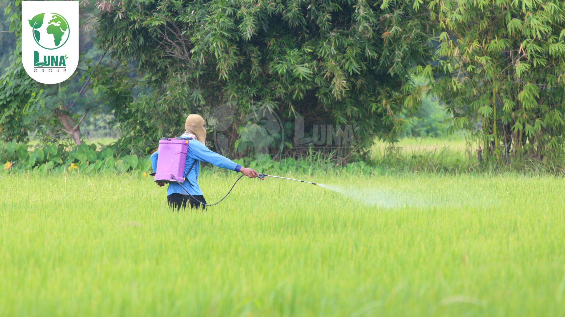 Lưu ý khi sử dụng