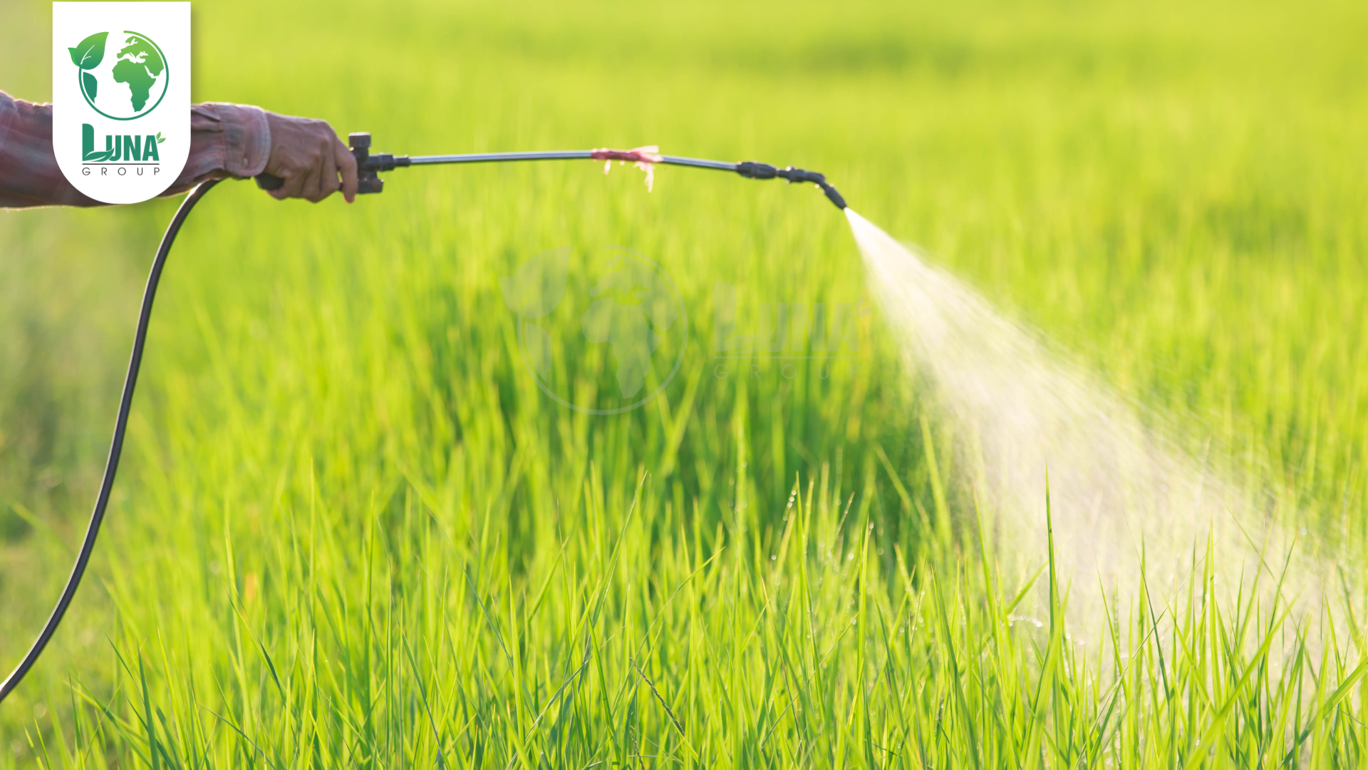 Lưu ý khi sử dụng