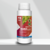 NARA 37EC