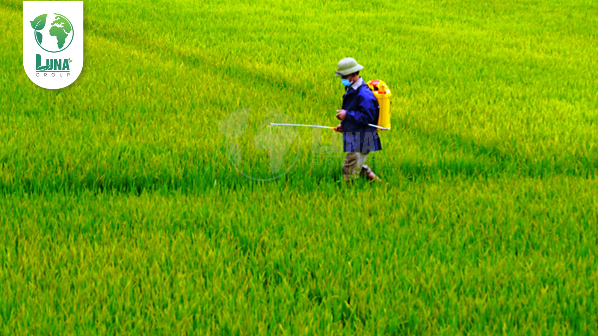 Lưu ý khi sử dụng
