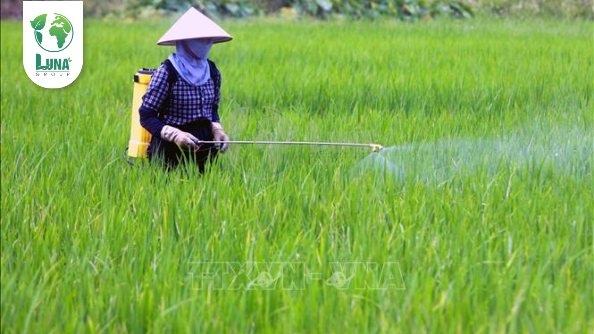 Lưu ý khi sử dụng