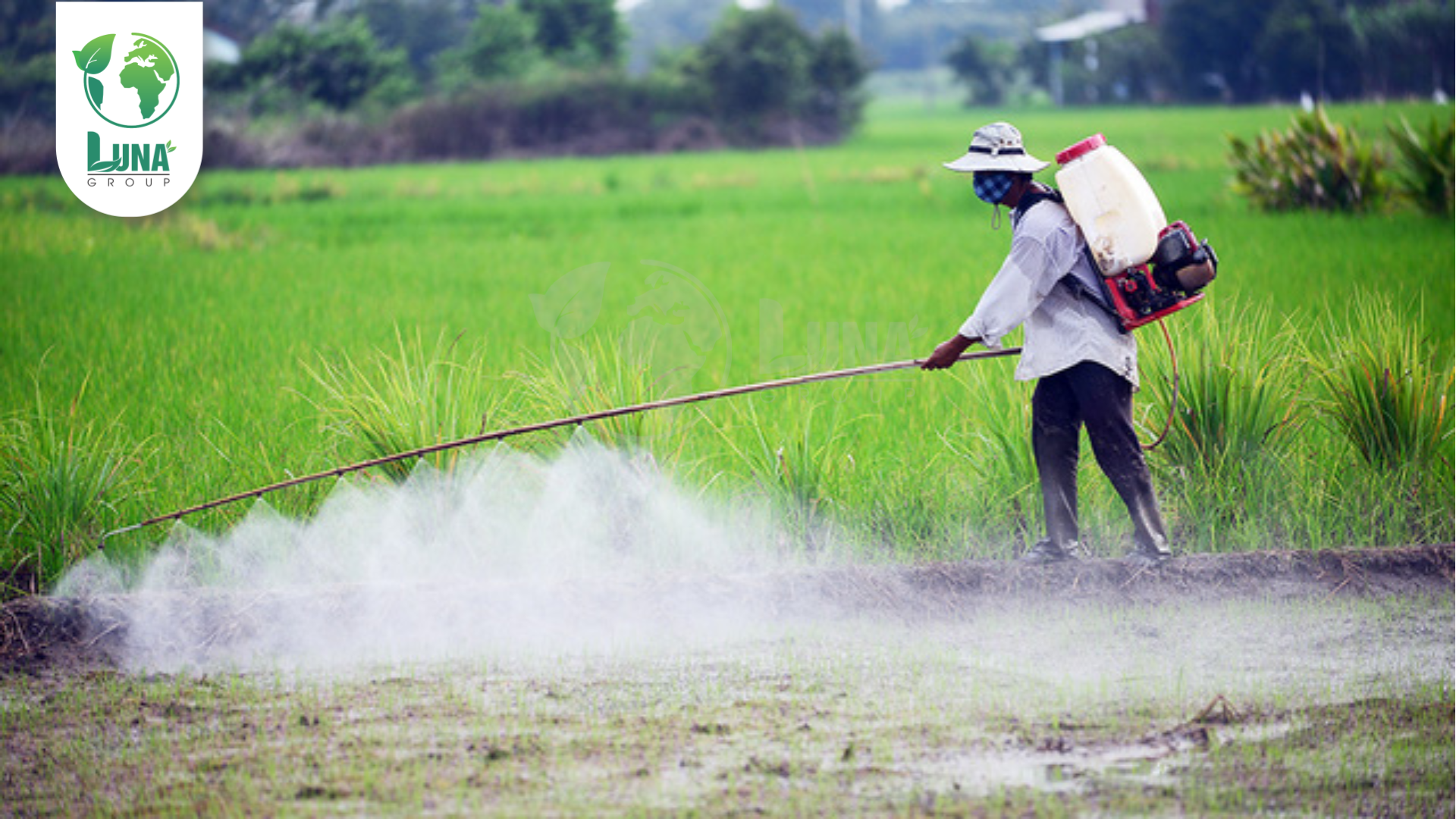 Lưu ý khi sử dụng