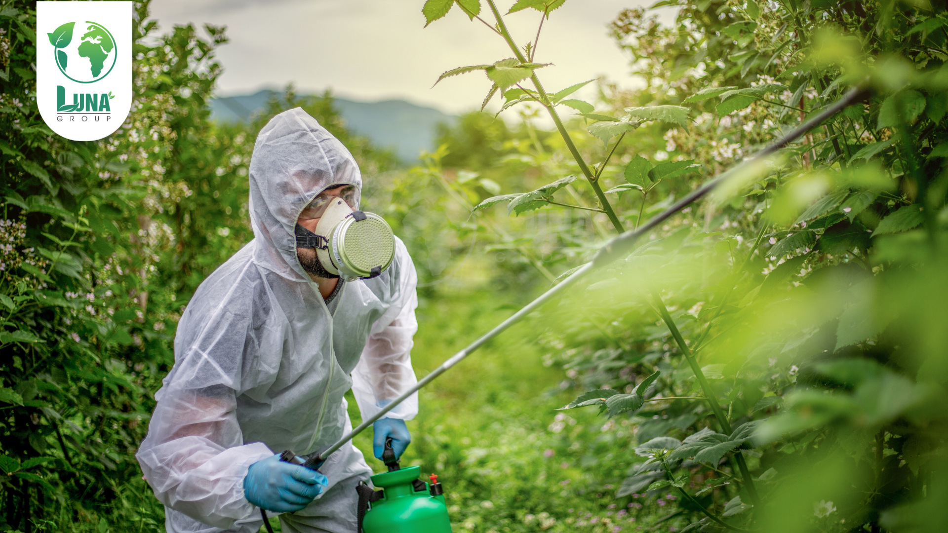 Lưu ý khi sử dụng phân bón NaSaGo 2