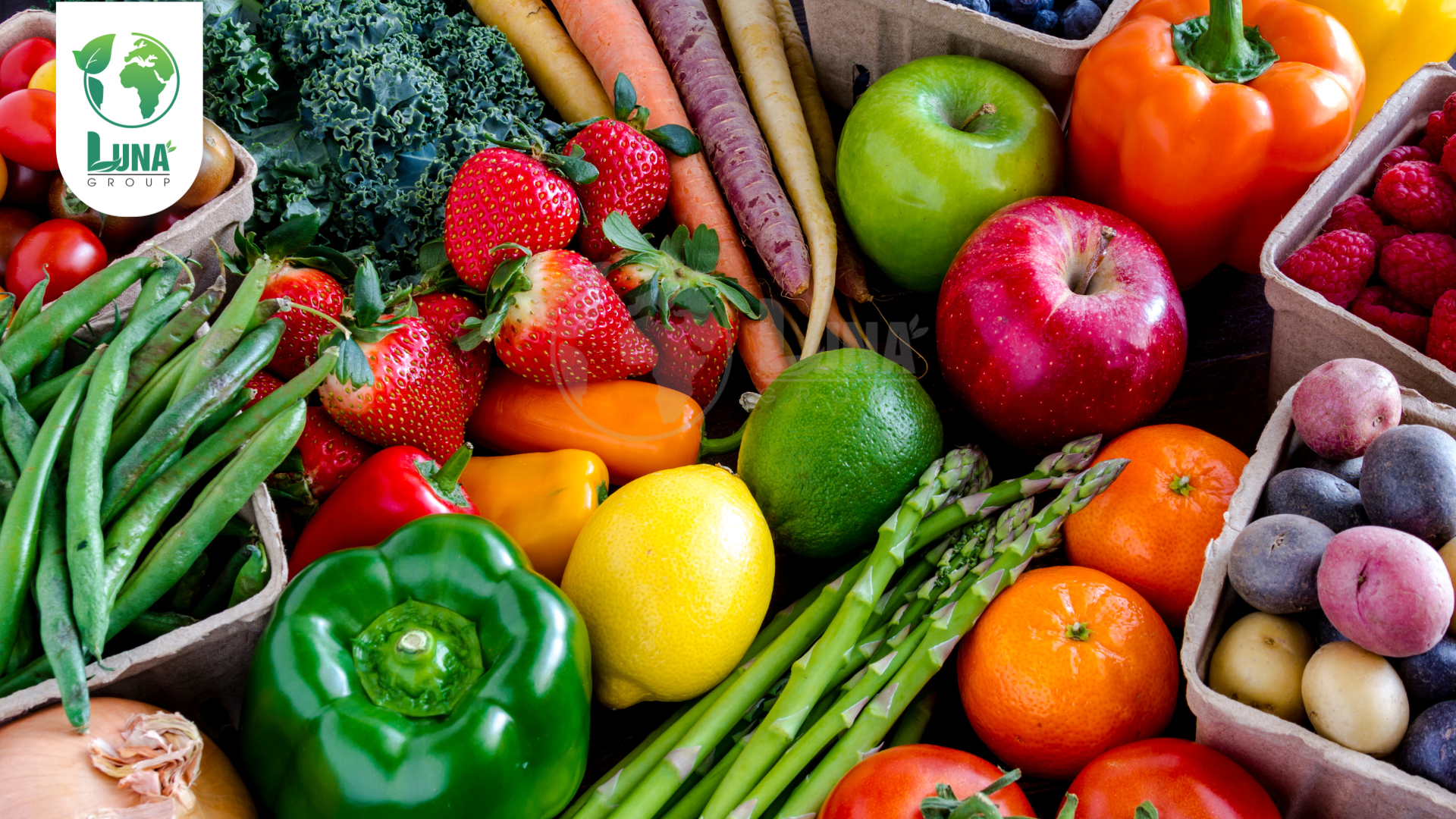 Công dụng phân bón NaSaGo 2