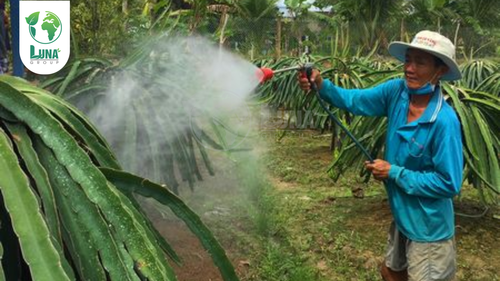 Lưu ý khi sử dụng