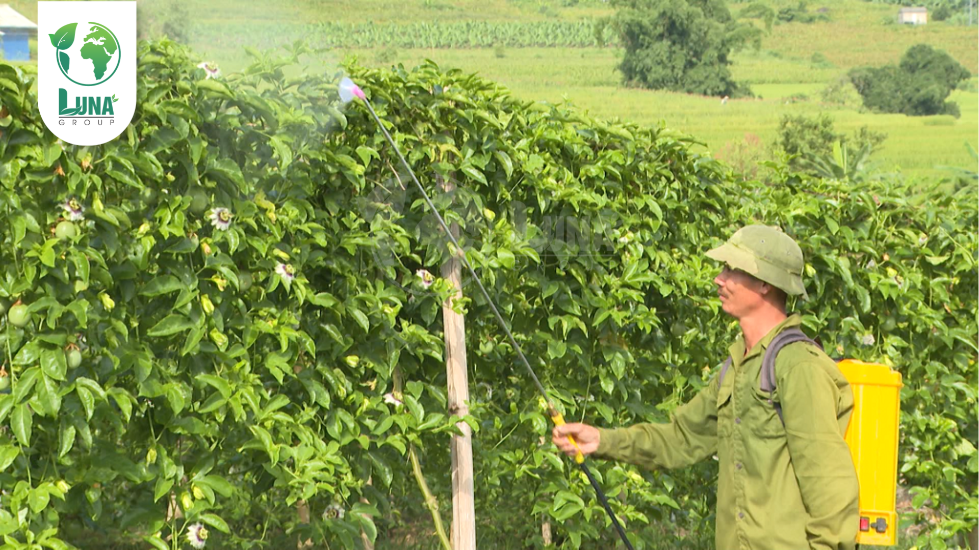 Lưu ý khi sử dụng