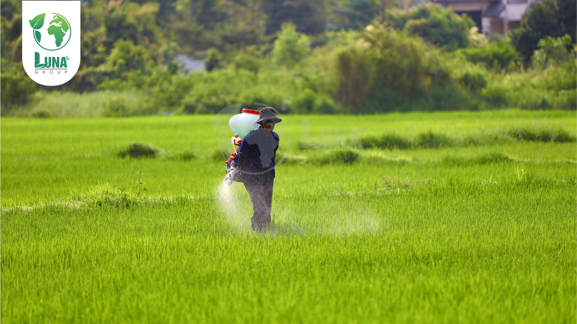 Lưu ý khi sử dụng