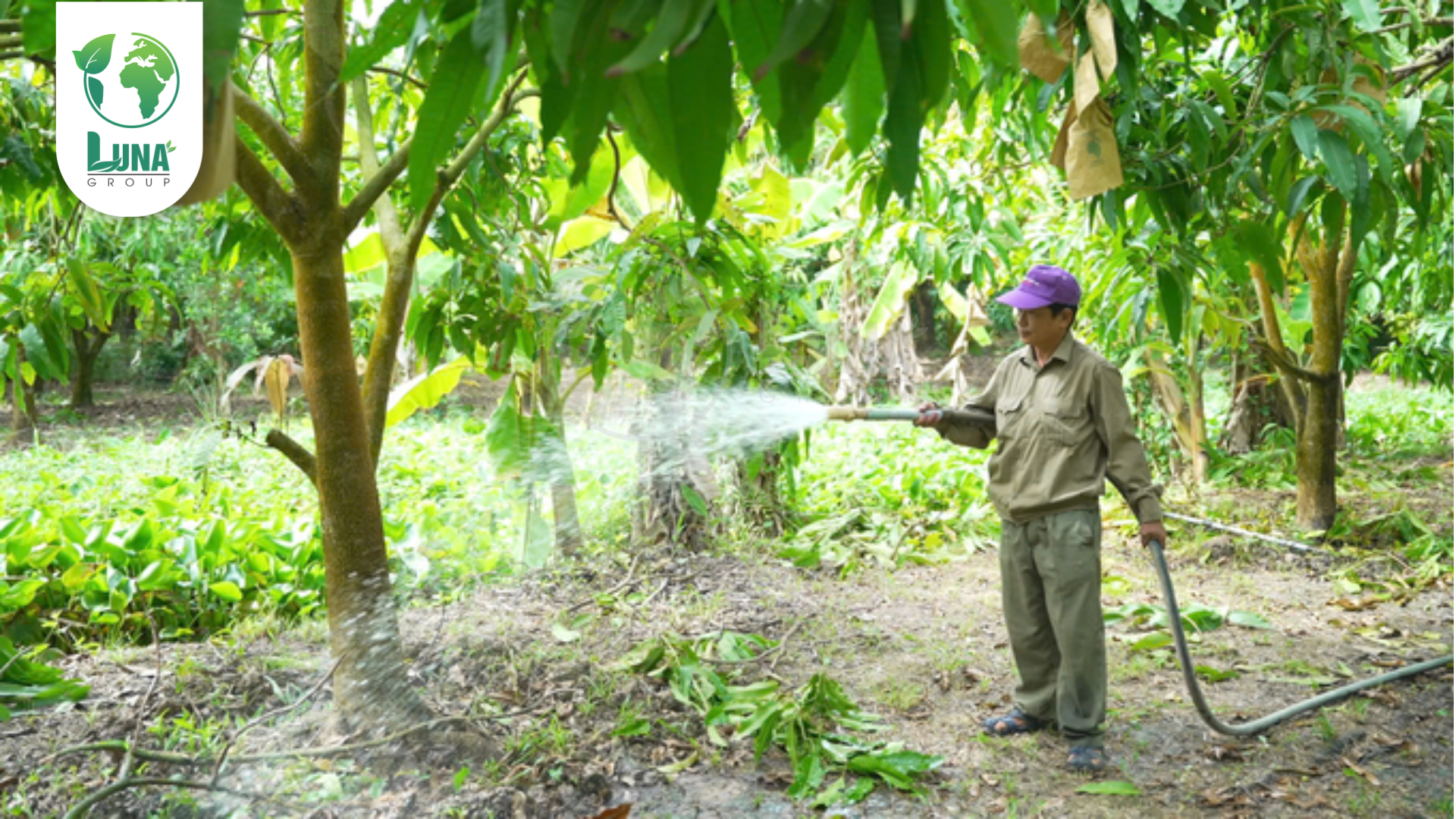 Lưu ý khi sử dụng
