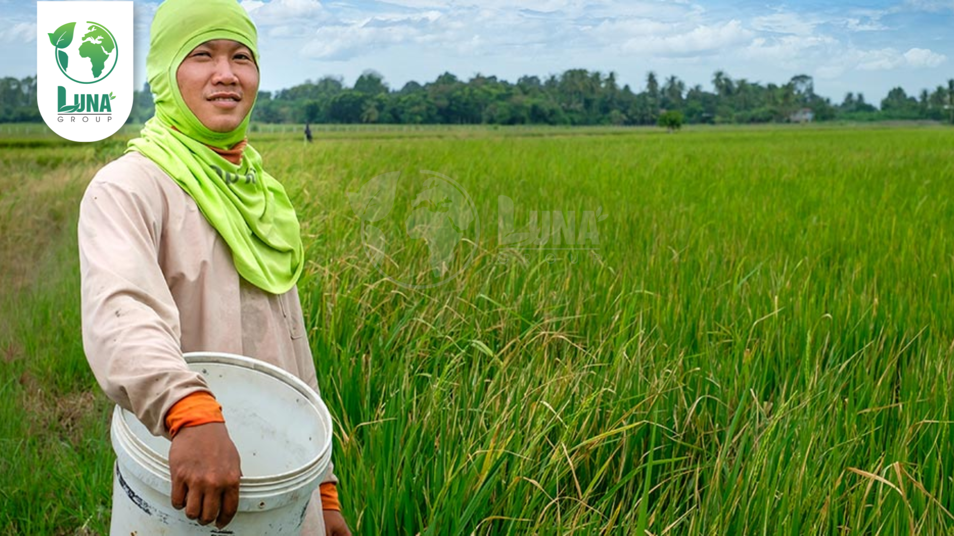 Lưu ý khi sử dụng