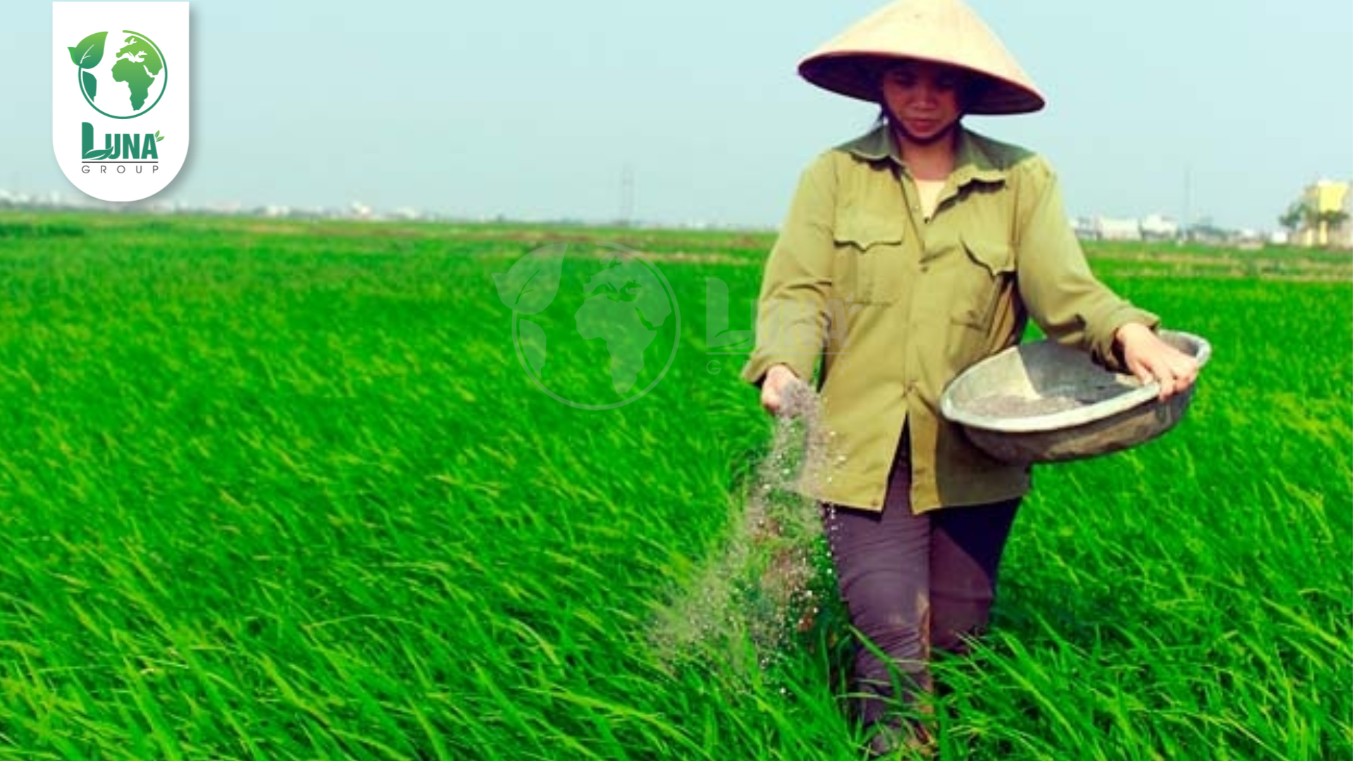 Lưu ý khi sử dụng