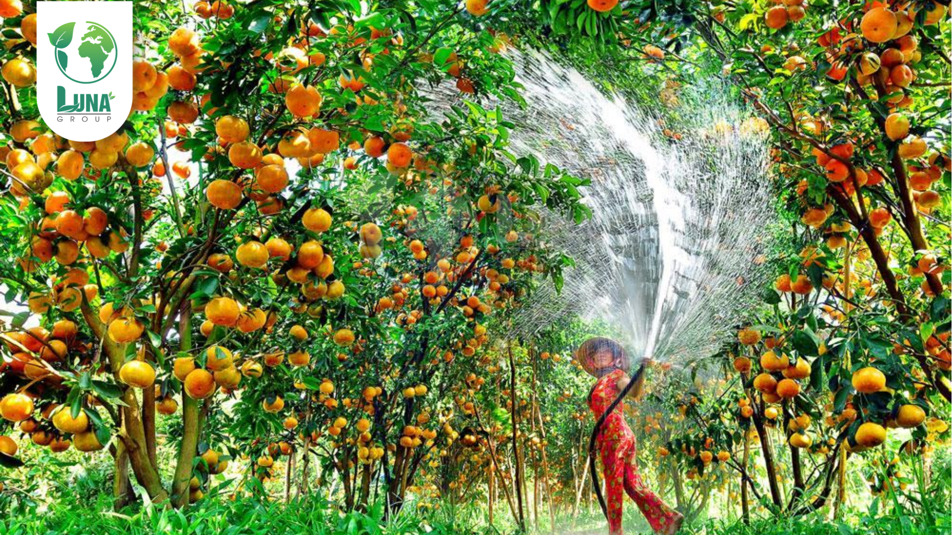 Lưu ý khi sử dụng