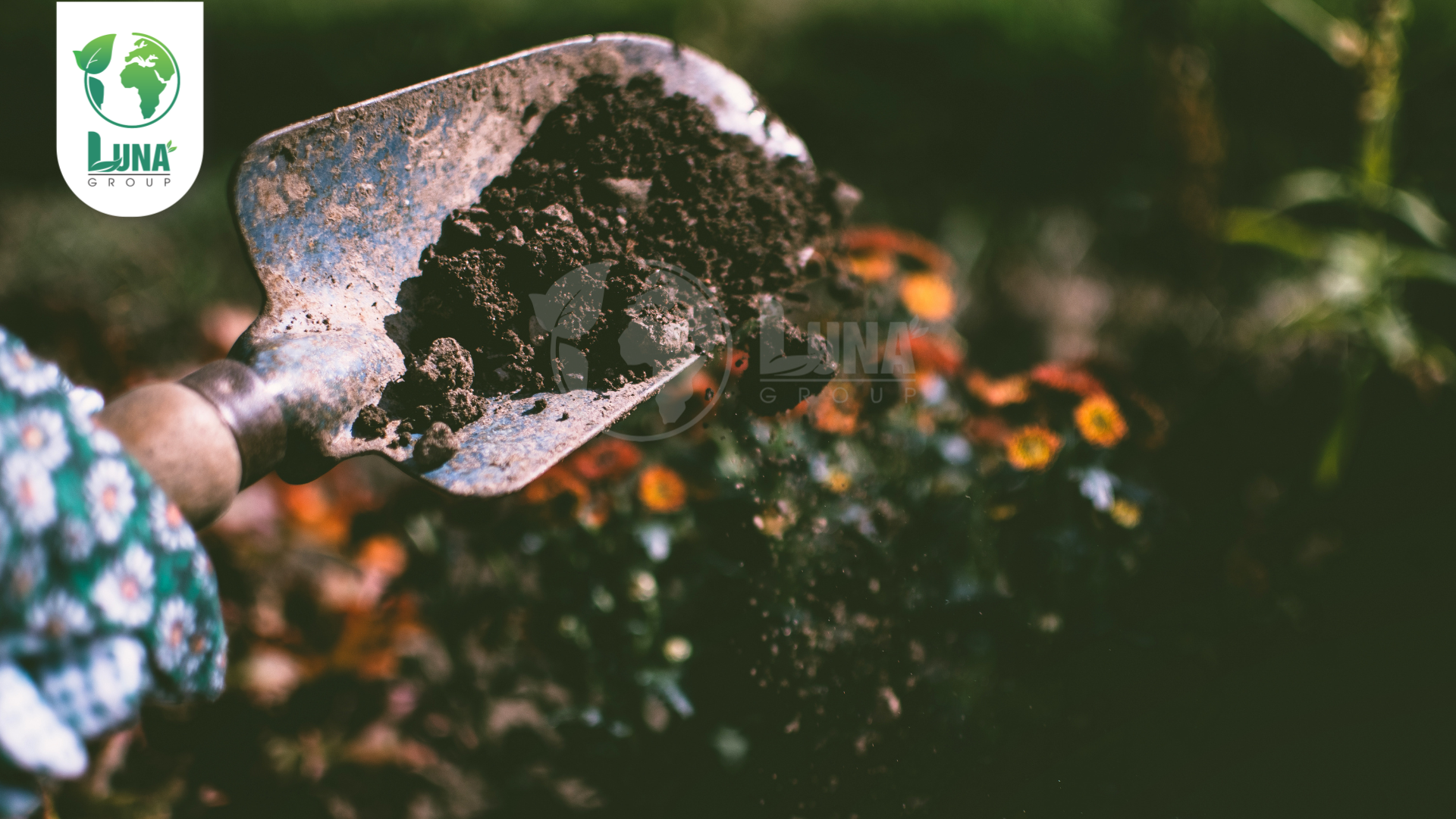 Lưu ý khi sử dụng