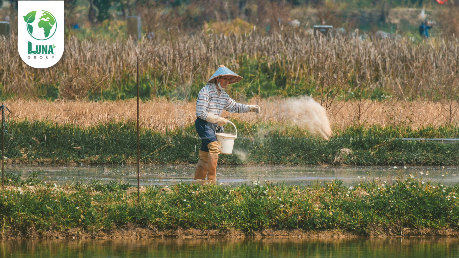 Lưu ý khi sử dụng