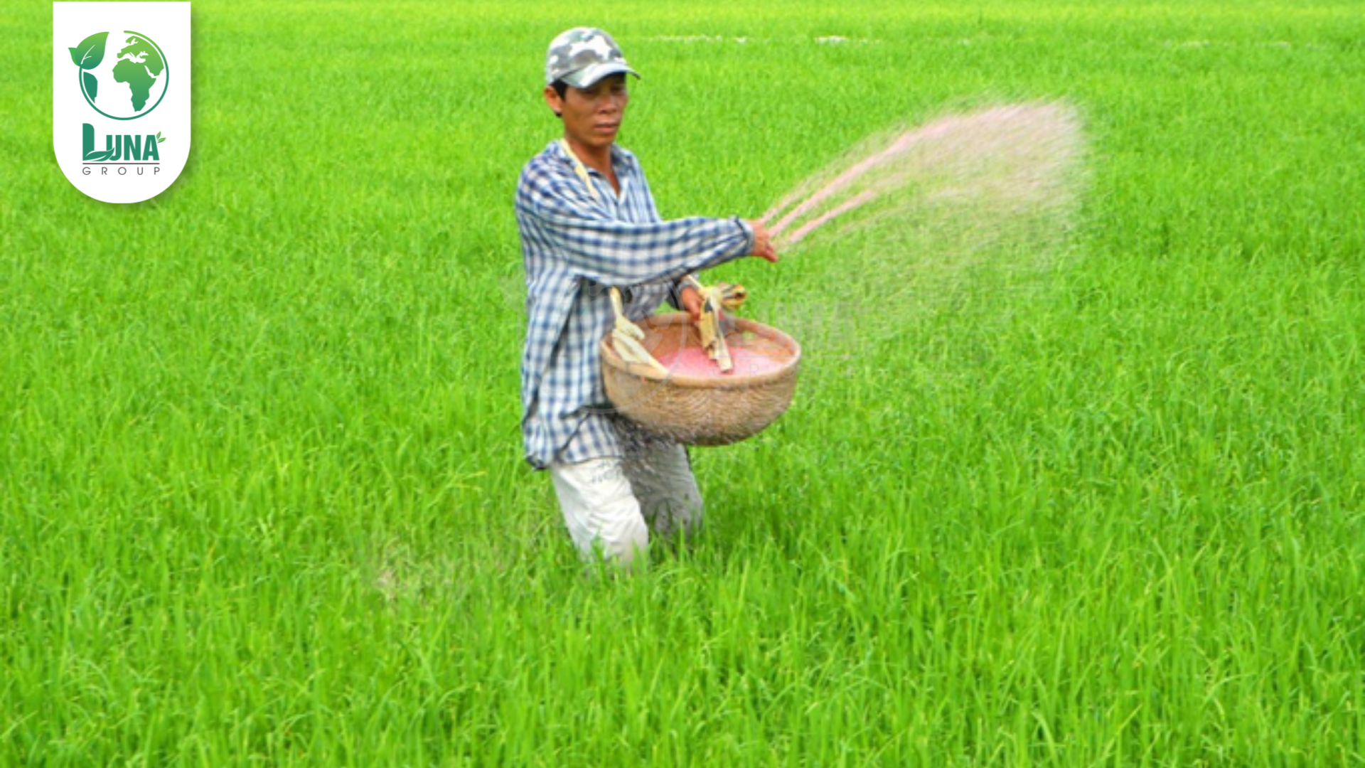 Lưu ý khi sử dụng