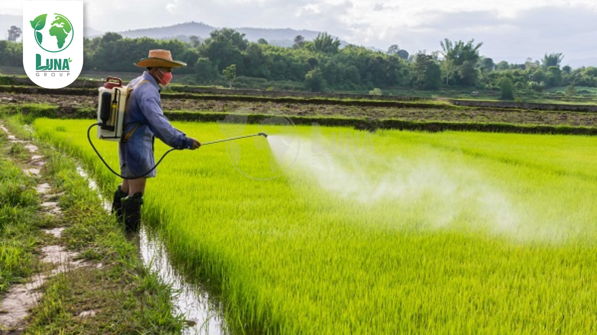 Lưu ý khi sử dụng