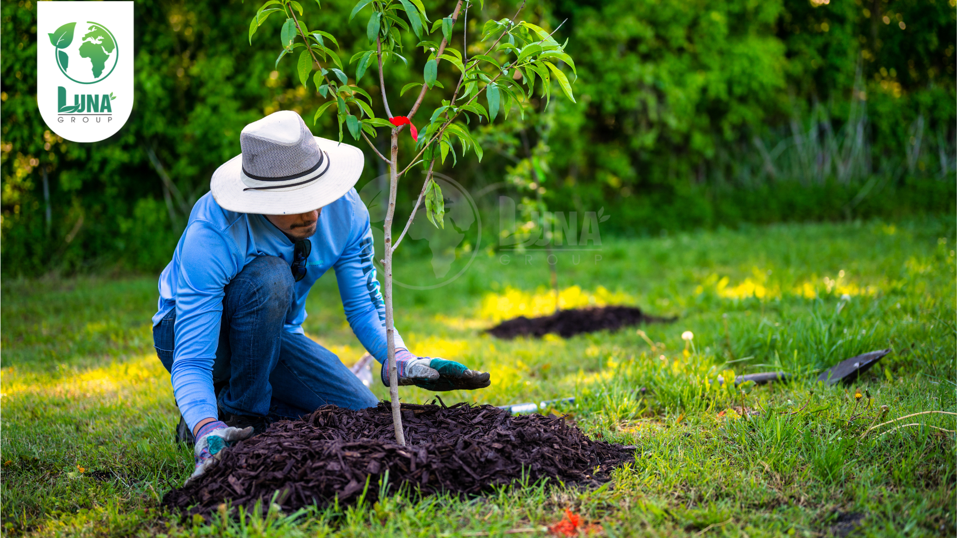 Lưu ý khi sử dụng