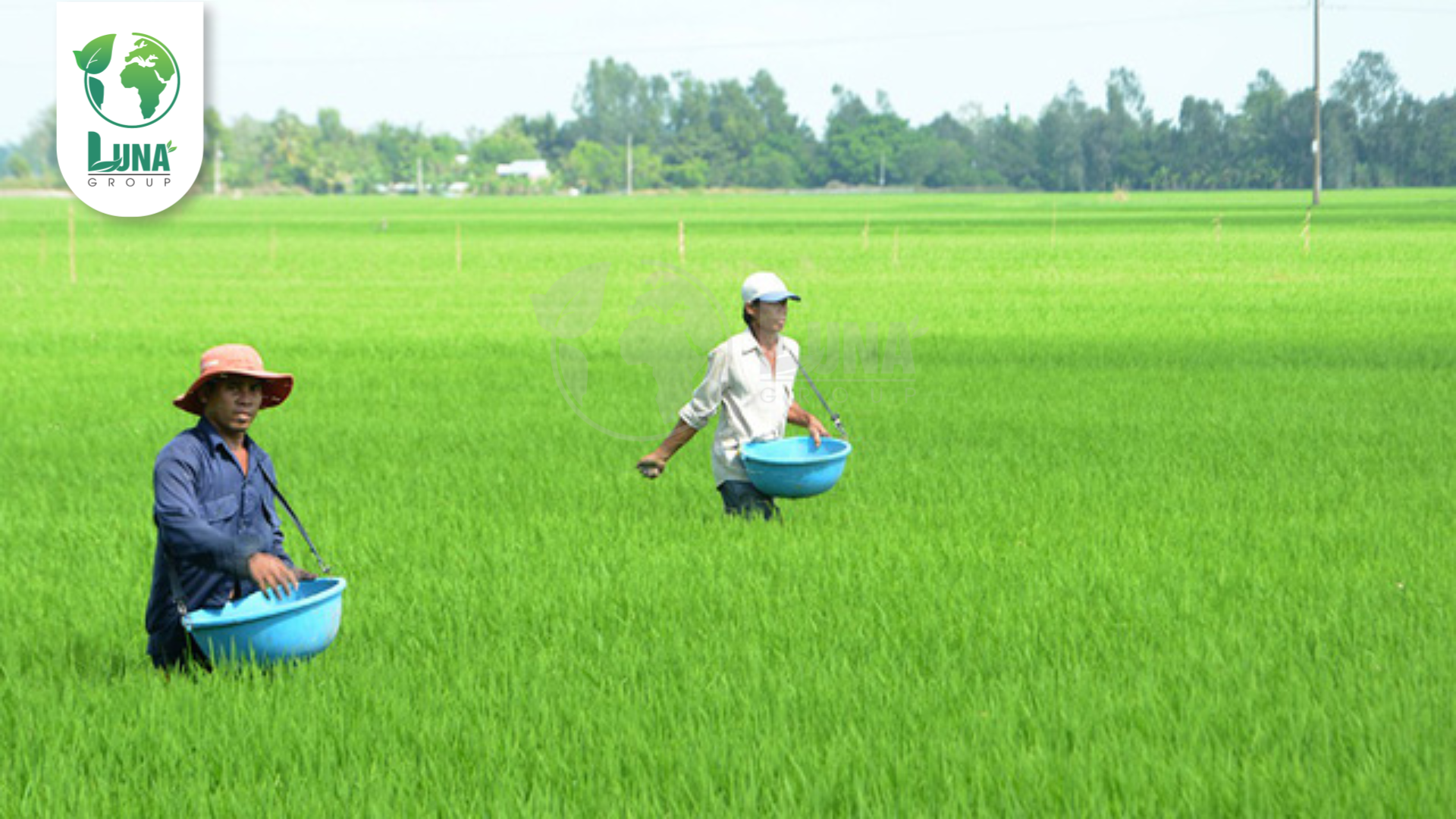 Lưu ý khi sử dụng