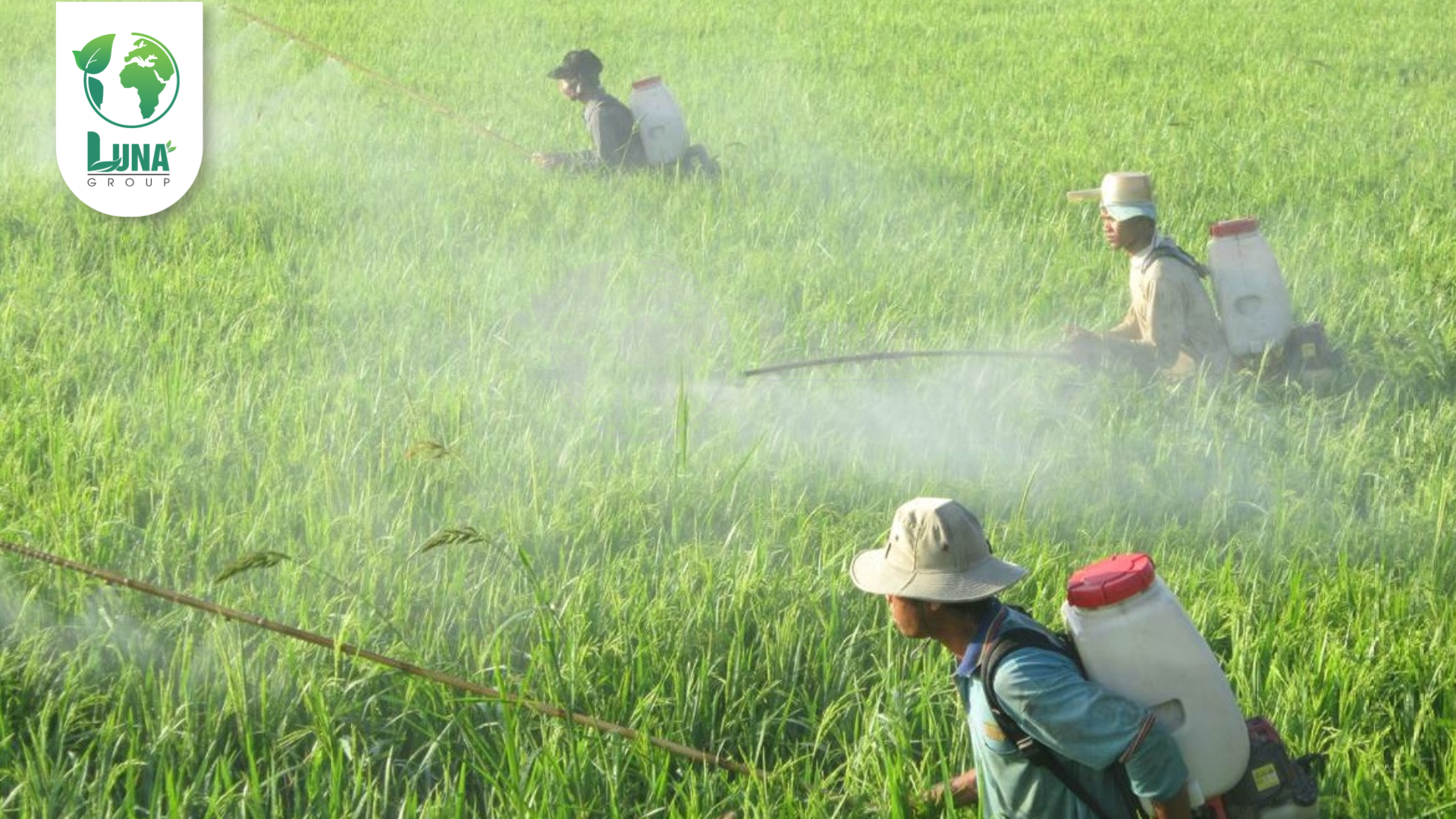 Lưu ý khi sử dụng