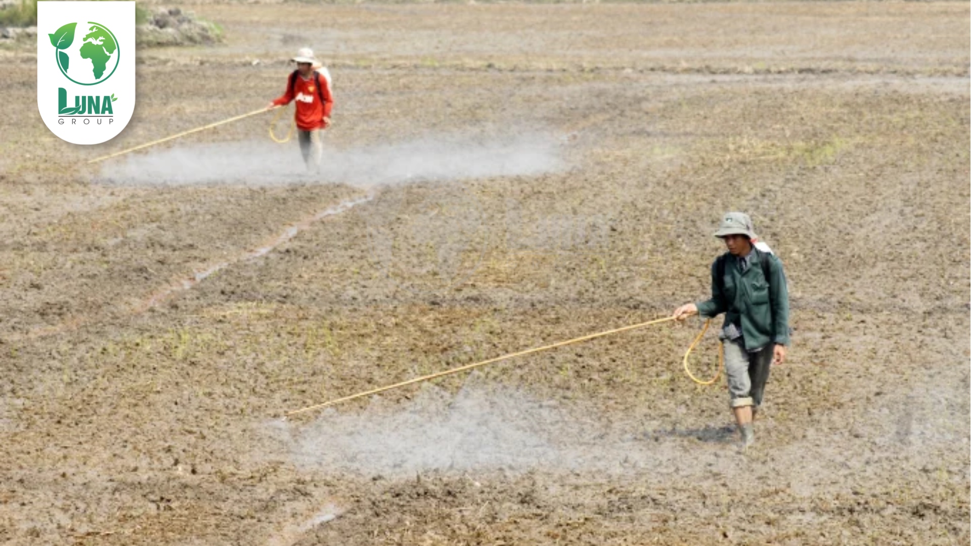 Lưu ý khi sử dụng
