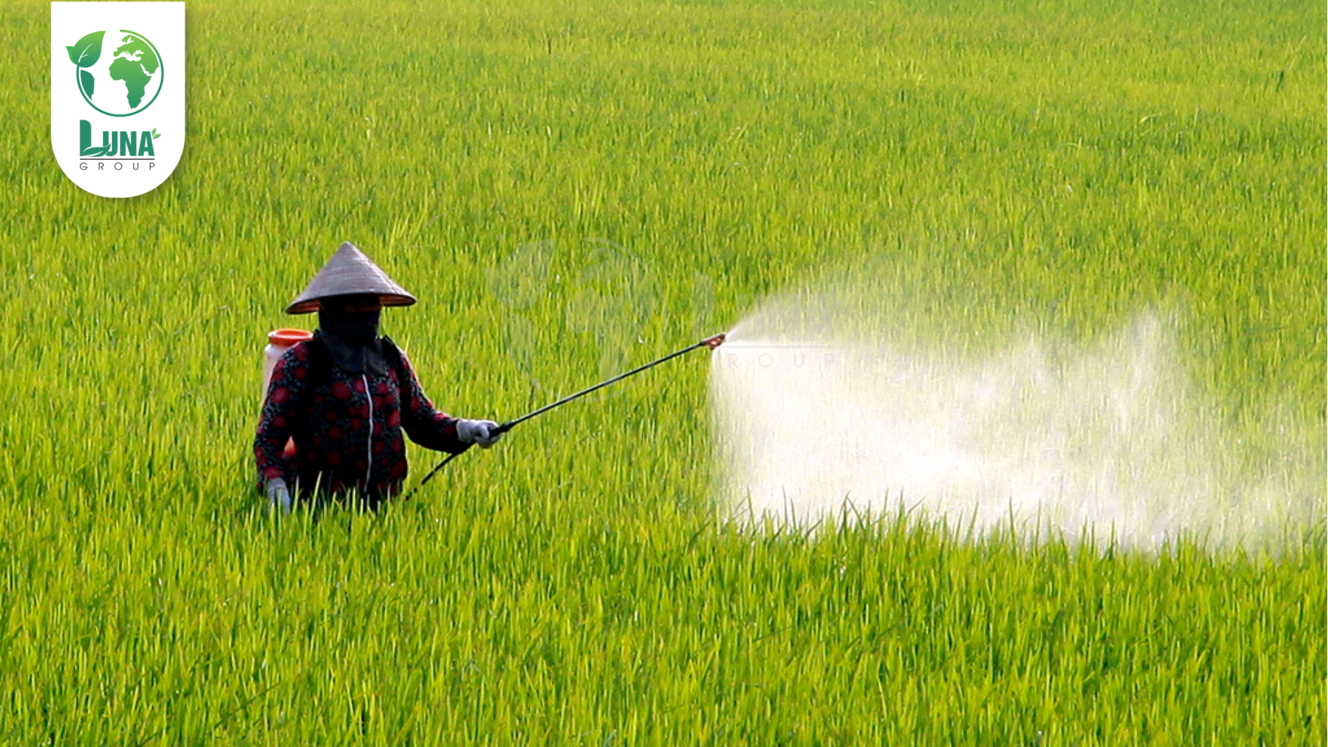 Lưu ý khi sử dụng